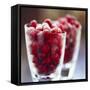 Cranberries-David Munns-Framed Stretched Canvas