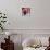 Cranberries-David Munns-Premium Photographic Print displayed on a wall