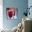 Cranberries-David Munns-Photographic Print displayed on a wall