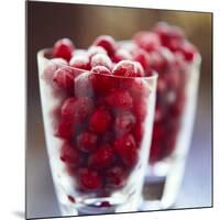 Cranberries-David Munns-Mounted Photographic Print