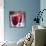 Cranberries-David Munns-Mounted Photographic Print displayed on a wall