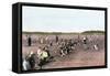 Cranberry Bog Pickers at Work on Cape Cod, Massachusetts, c.1890-null-Framed Stretched Canvas