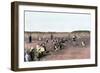 Cranberry Bog Pickers at Work on Cape Cod, Massachusetts, c.1890-null-Framed Giclee Print