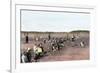 Cranberry Bog Pickers at Work on Cape Cod, Massachusetts, c.1890-null-Framed Giclee Print