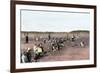 Cranberry Bog Pickers at Work on Cape Cod, Massachusetts, c.1890-null-Framed Giclee Print