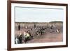 Cranberry Bog Pickers at Work on Cape Cod, Massachusetts, c.1890-null-Framed Giclee Print