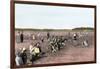 Cranberry Bog Pickers at Work on Cape Cod, Massachusetts, c.1890-null-Framed Giclee Print