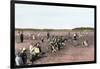 Cranberry Bog Pickers at Work on Cape Cod, Massachusetts, c.1890-null-Framed Giclee Print