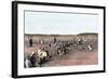 Cranberry Bog Pickers at Work on Cape Cod, Massachusetts, c.1890-null-Framed Giclee Print