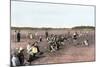 Cranberry Bog Pickers at Work on Cape Cod, Massachusetts, c.1890-null-Mounted Giclee Print