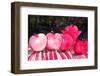Cranberry Glass and Pink Apples-Neela Pushparaj-Framed Photographic Print