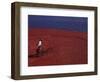 Cranberry Harvest, Middleboro, Massachusetts, USA-Rob Tilley-Framed Photographic Print