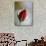 Cranberry Rosebud-Nicole Katano-Photo displayed on a wall