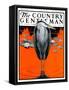 "Crane and Lilly Pads," Country Gentleman Cover, May 3, 1924-Paul Bransom-Framed Stretched Canvas