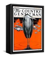 "Crane and Lilly Pads," Country Gentleman Cover, May 3, 1924-Paul Bransom-Framed Stretched Canvas