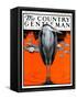 "Crane and Lilly Pads," Country Gentleman Cover, May 3, 1924-Paul Bransom-Framed Stretched Canvas