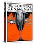 "Crane and Lilly Pads," Country Gentleman Cover, May 3, 1924-Paul Bransom-Stretched Canvas