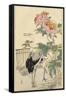 Crane and Peony-Bairei-Framed Stretched Canvas