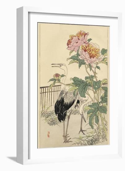 Crane and Peony-Bairei-Framed Art Print
