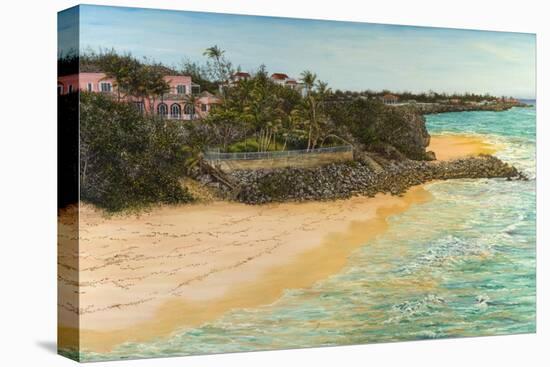 Crane Beach-Victor Collector-Stretched Canvas