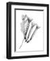 Crane Flower-Albert Koetsier-Framed Art Print