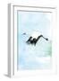 Crane in Flight II-Mercedes Lopez Charro-Framed Art Print