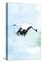 Crane in Flight II-Mercedes Lopez Charro-Stretched Canvas