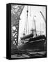 Crane Lifting Oil Refinery Tower from Cargo Ship-null-Framed Stretched Canvas