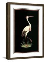 Crane on Black Background-null-Framed Art Print