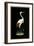 Crane on Black Background-null-Framed Art Print