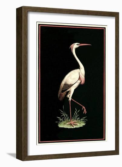 Crane on Black Background-null-Framed Art Print