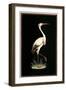 Crane on Black Background-null-Framed Art Print