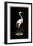 Crane on Black Background-null-Framed Art Print