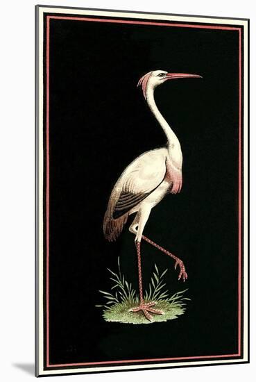 Crane on Black Background-null-Mounted Art Print