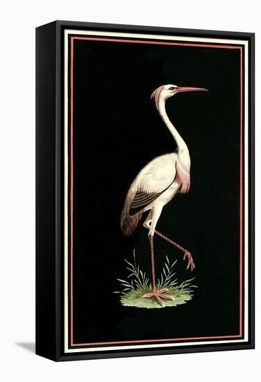 Crane on Black Background-null-Framed Stretched Canvas