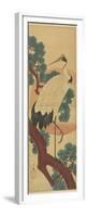 Crane on Pine Branch-Utagawa Hiroshige-Framed Premium Giclee Print