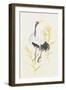 Crane Reeds I-Chris Paschke-Framed Art Print