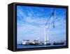 Crane Rig Raising Sunken Mary Rose-null-Framed Stretched Canvas