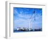 Crane Rig Raising Sunken Mary Rose-null-Framed Photographic Print