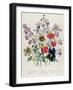 Crane's Bill, Plate 42 from 'The Ladies' Flower Garden', Published 1842-Jane Loudon-Framed Giclee Print