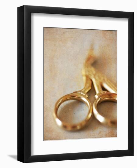 Crane Scissors-Jessica Rogers-Framed Premium Giclee Print