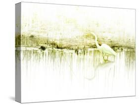 Crane Standing in Shallow Waters-Jan Lakey-Stretched Canvas