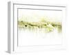 Crane Standing in Shallow Waters-Jan Lakey-Framed Photographic Print