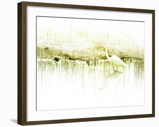 Crane Standing in Shallow Waters-Jan Lakey-Framed Photographic Print