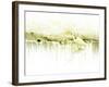 Crane Standing in Shallow Waters-Jan Lakey-Framed Photographic Print