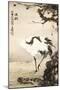 Crane under a Pine Tree-Gao Qifeng-Mounted Giclee Print