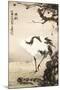 Crane under a Pine Tree-Gao Qifeng-Mounted Giclee Print