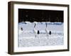 Crane-WizData-Framed Photographic Print