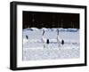 Crane-WizData-Framed Photographic Print