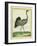 Crane-Georges-Louis Buffon-Framed Giclee Print